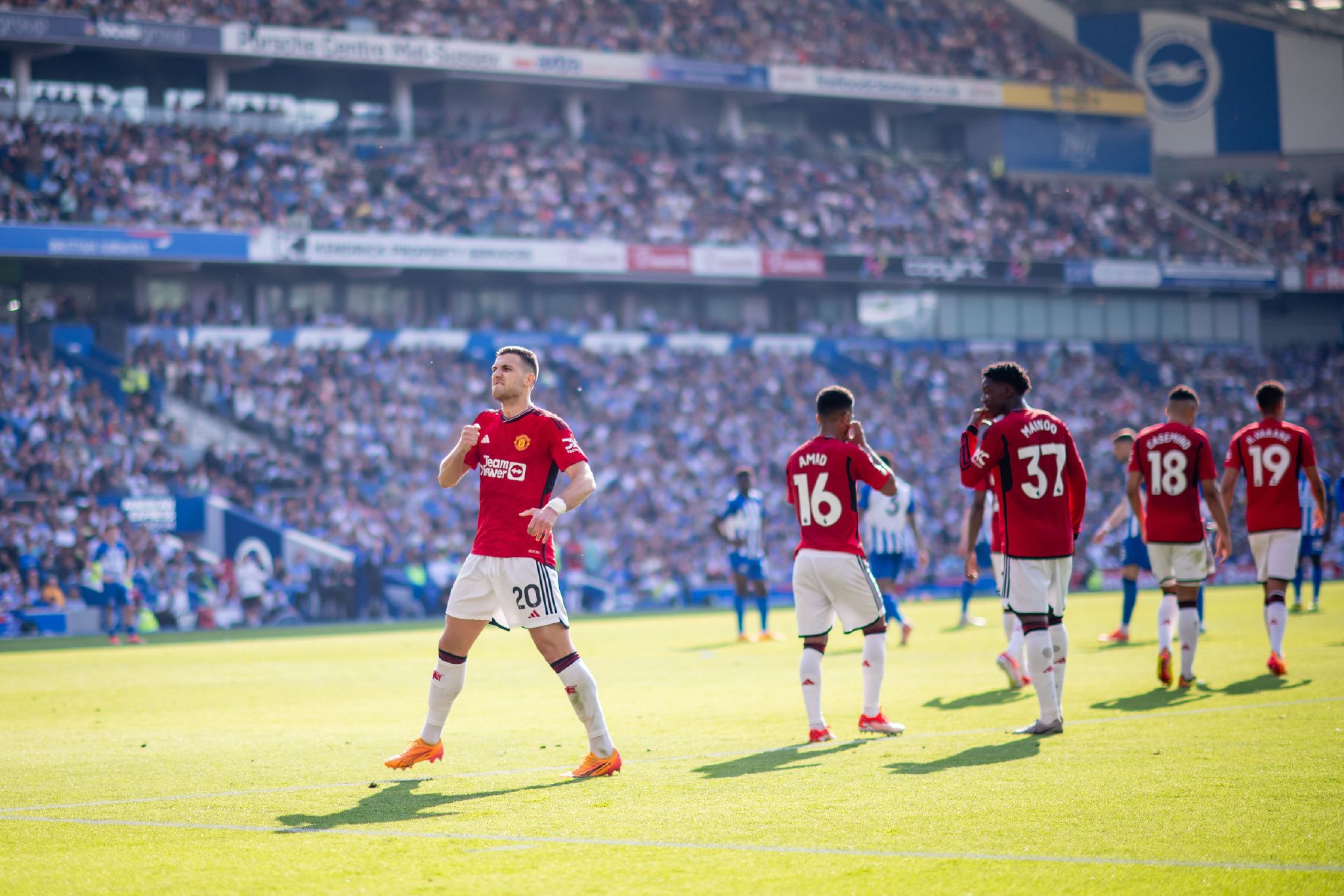 采取必要的 采取必要的